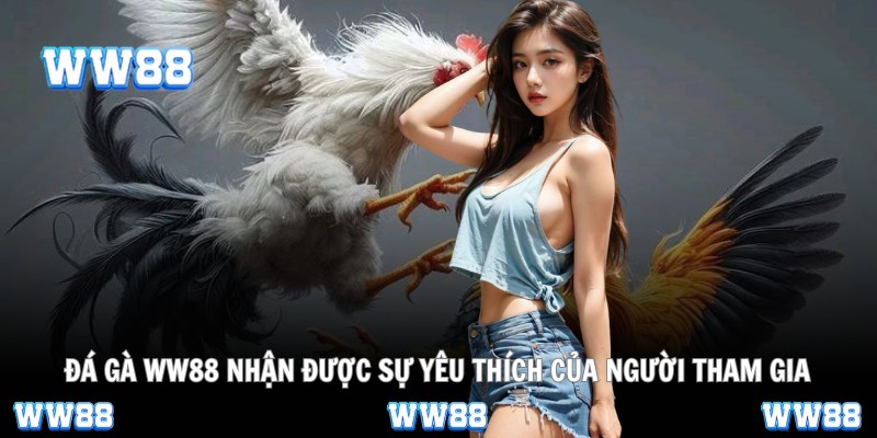 Đá gà WW88 nhận được sự yêu thích của người tham gia