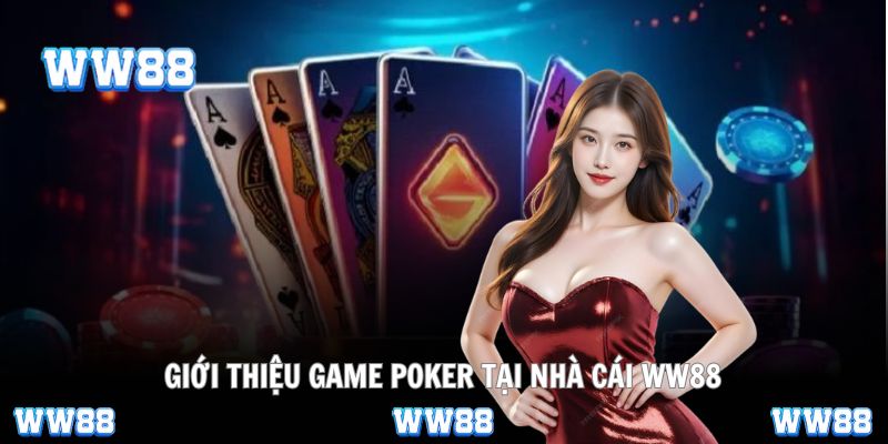 Không gian cá cược Poker chuyên nghiệp đang chờ bạn khám phá
